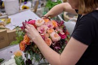 Robertsons Staff - Designer